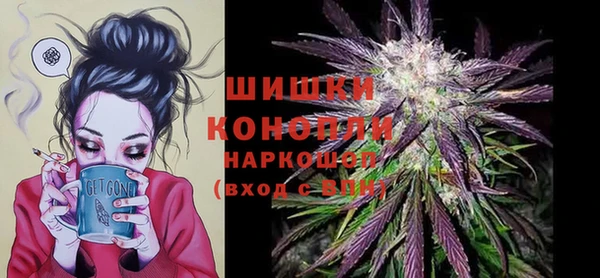 сатива Белоозёрский