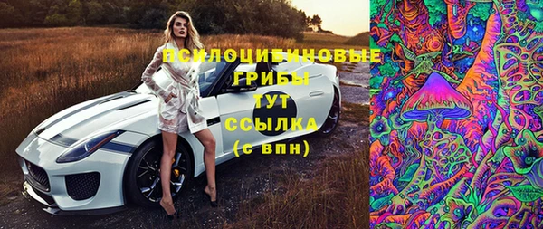 мет Белокуриха